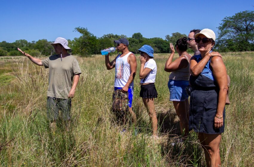  Caminatas por la costanera con avistajes a lo autóctono de nuestro pueblo