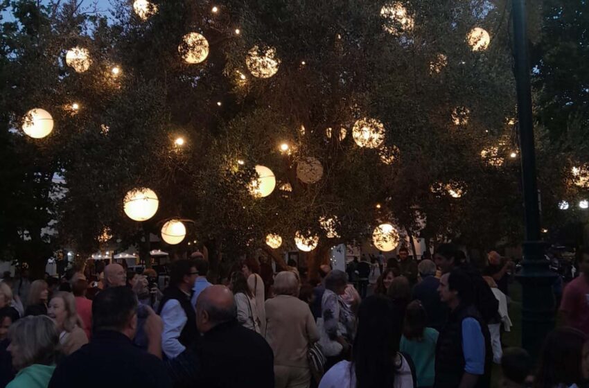  Encendido del Árbol de Navidad en la Plaza Arellano
