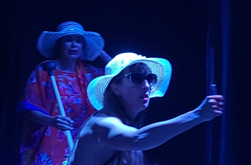  El Galpón Chamico finalizó su año con una vibrante varieté de teatro