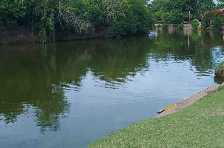  El Río, otra vez teñido de verde