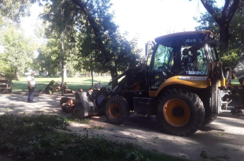  Tareas de limpieza y ordenamiento en la costanera tras el temporal