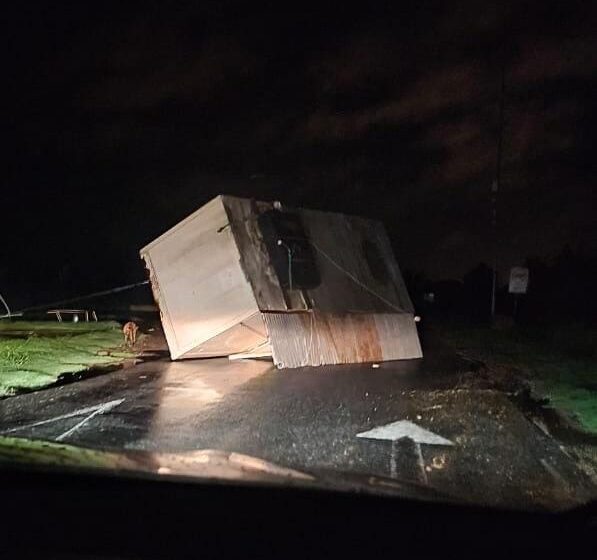  Árboles caídos, destrozos y cortes de calles por la tormenta de anoche