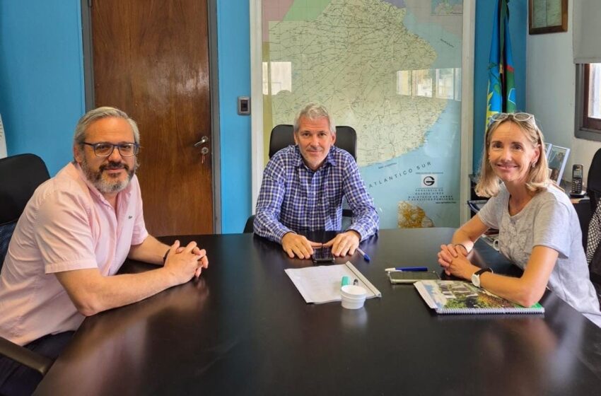  Nuevos avances en materia de educación para Areco