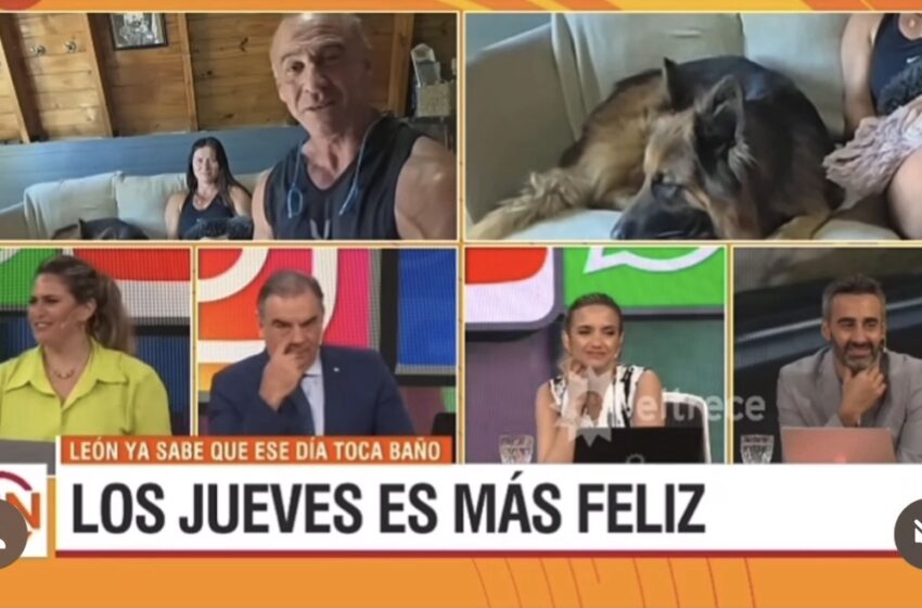  El perro influencer arequero llegó a la pantalla de Canal 13
