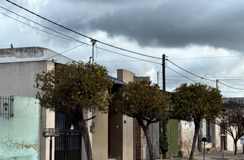 ¿Qué árboles plantr en asan Antonio de Areco y por qué?