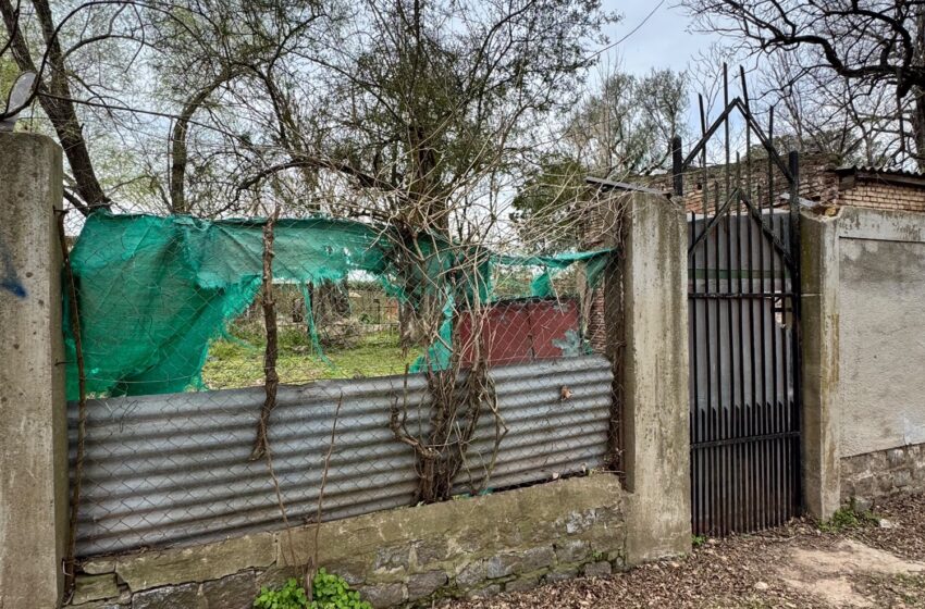 ¿Qué pasa con el ex zoológico? De la promesa de recuperar el predio al abandono